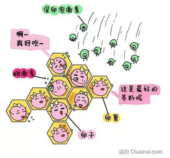 IM电竞平台