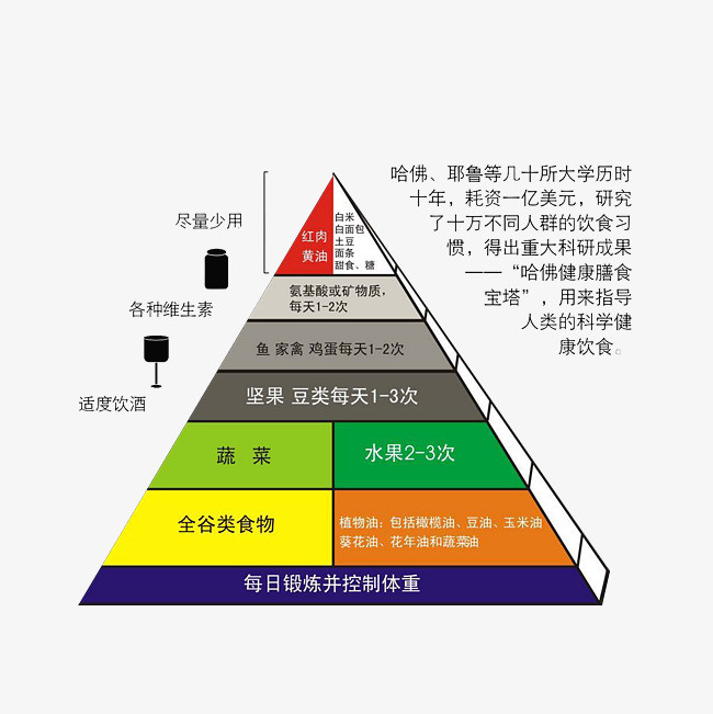 IM电竞官网
