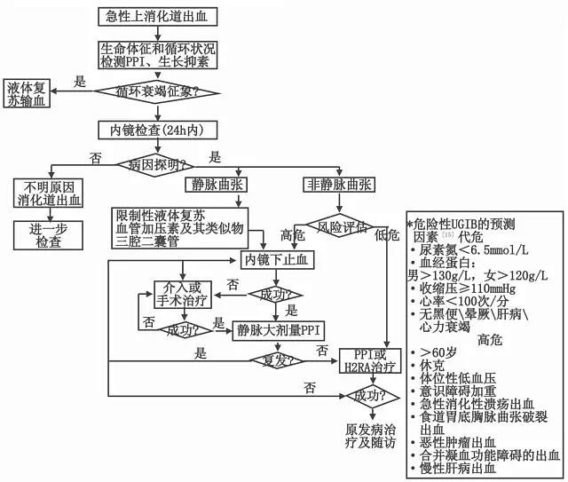 IM电竞