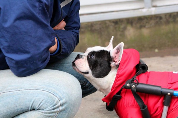 C罗当选意甲最佳第2天 梅西被评为西甲历史最佳_IM电竞(图2) IM电竞平台