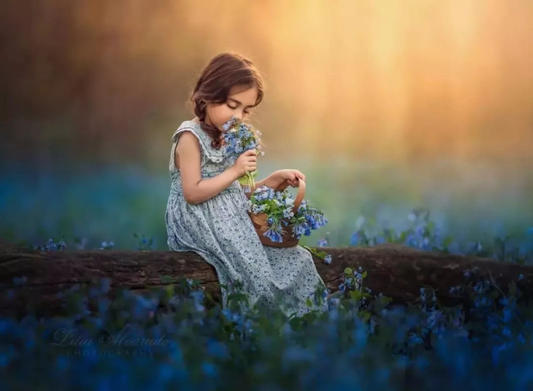 055舰为何音信全无?中国四大军种主战装备纷纷亮相‘IM电竞平台’(图2) IM电竞官网