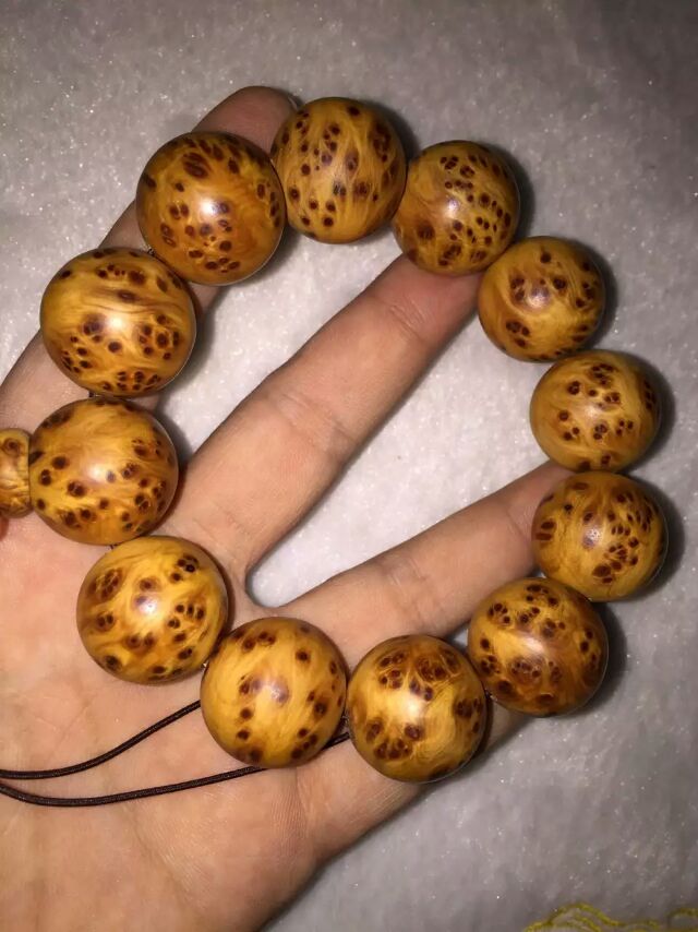 发射队员日志揭秘胖五重生背后908天的含泪奔跑‘IM电竞’(图2) IM电竞平台